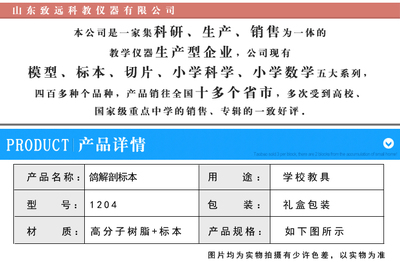 鴿解剖標本與包埋標本在中學生物教學中的應用與選購指南